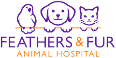 Feathers & Fur Animal Hospital