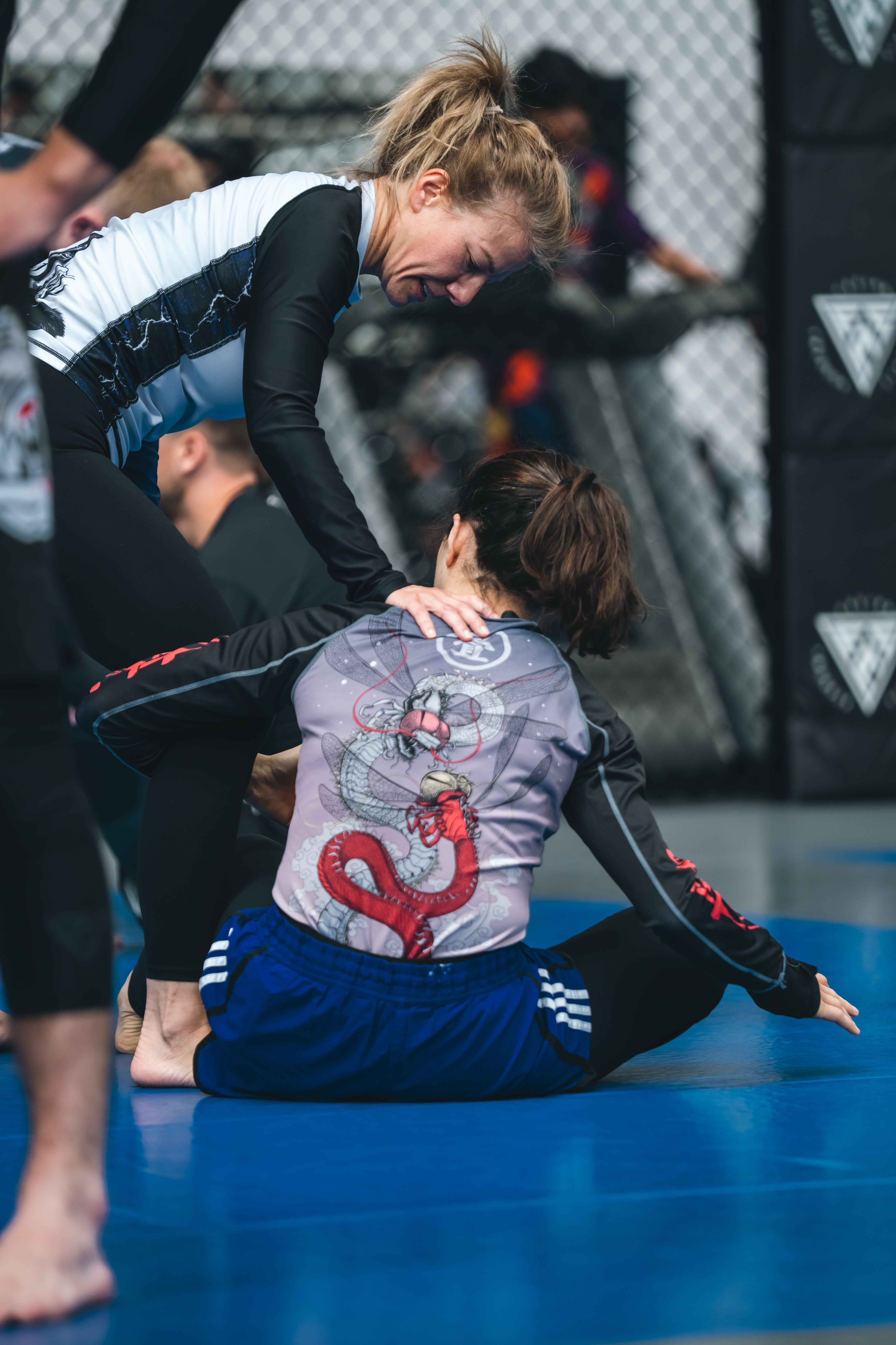 Fortgeschrittene BJJ Athleten beim Grappling