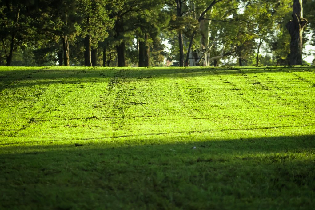 Espacios verdes - parque