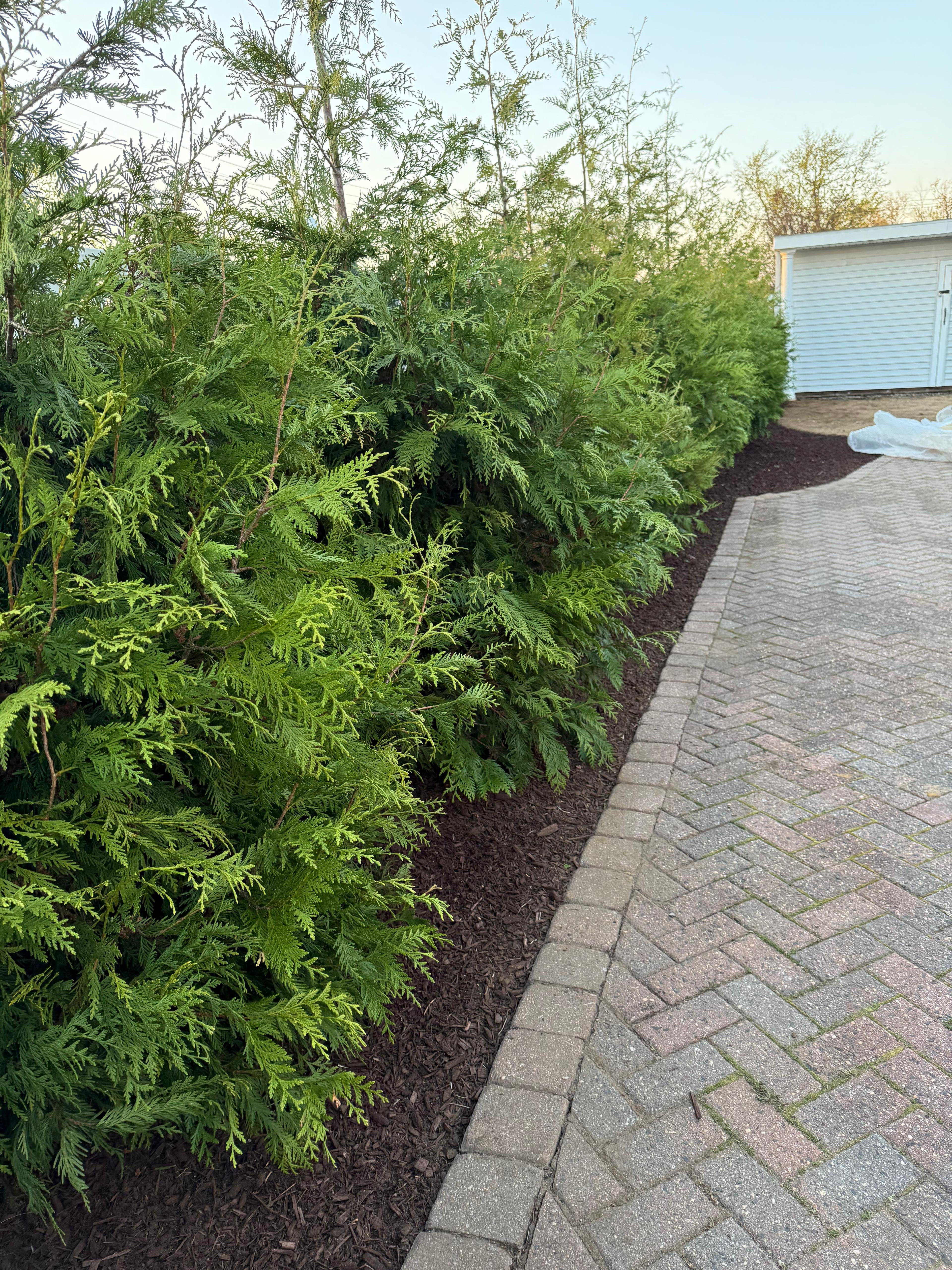 Herringbone Paver Walkway