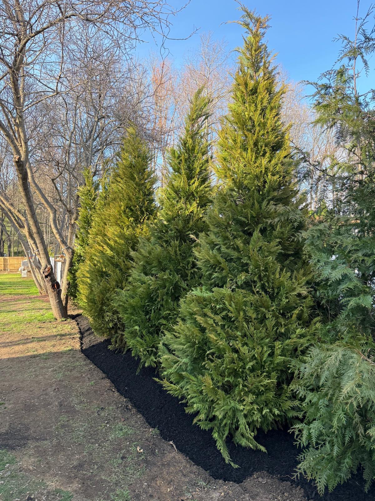 Landscaping work 4