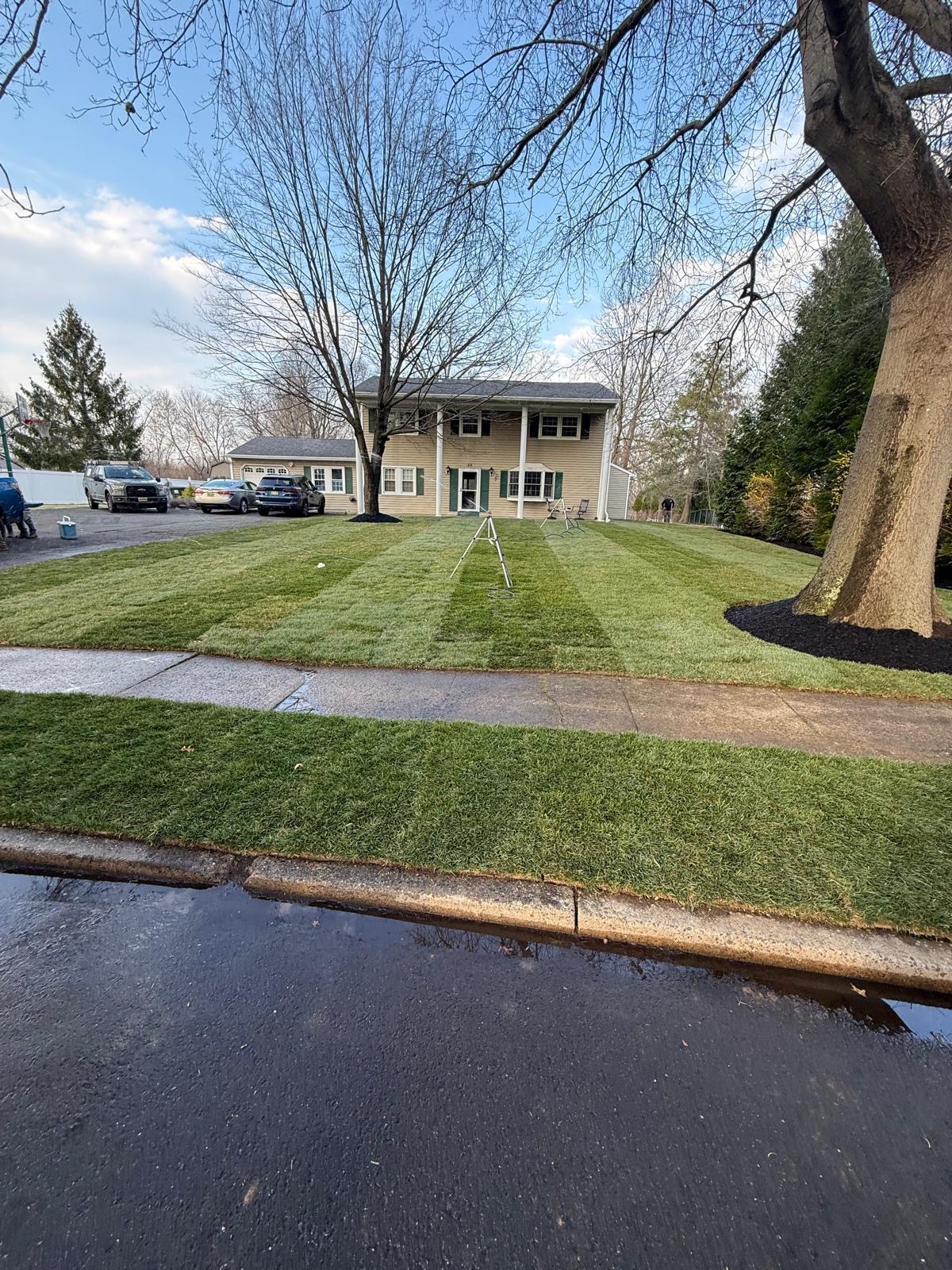 Landscaping work 2