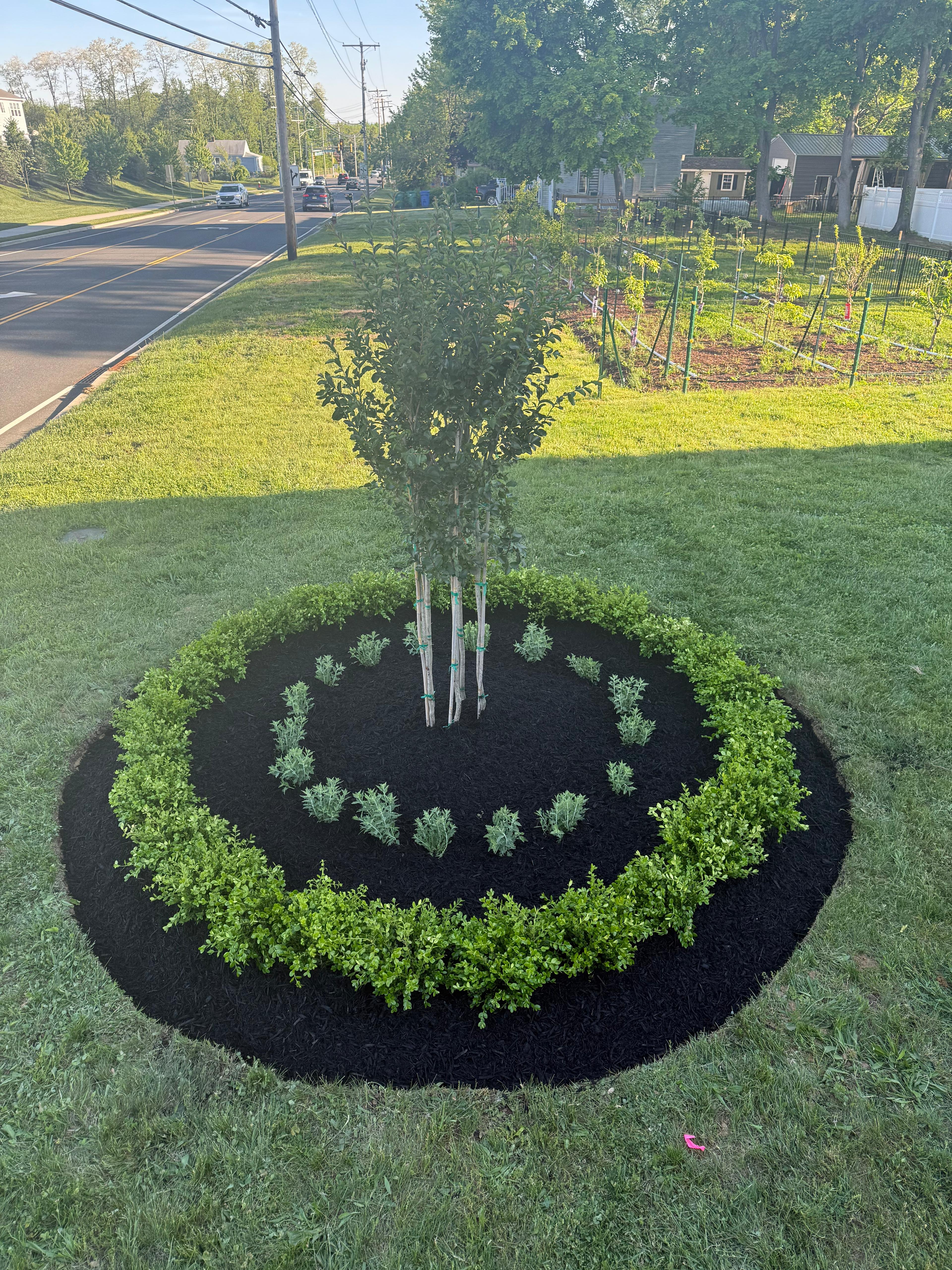 Landscaping work 3