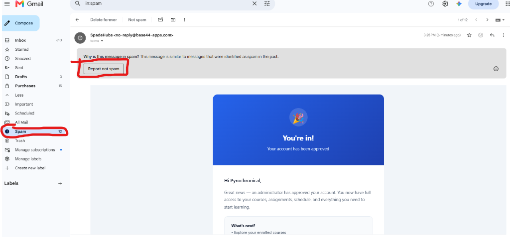 Step 6: Approval email arrives (check Spam again)