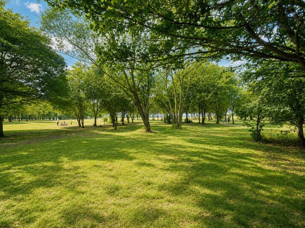 Safer Parks green space