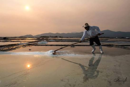 Salt worker harvesting at sunset in Colima