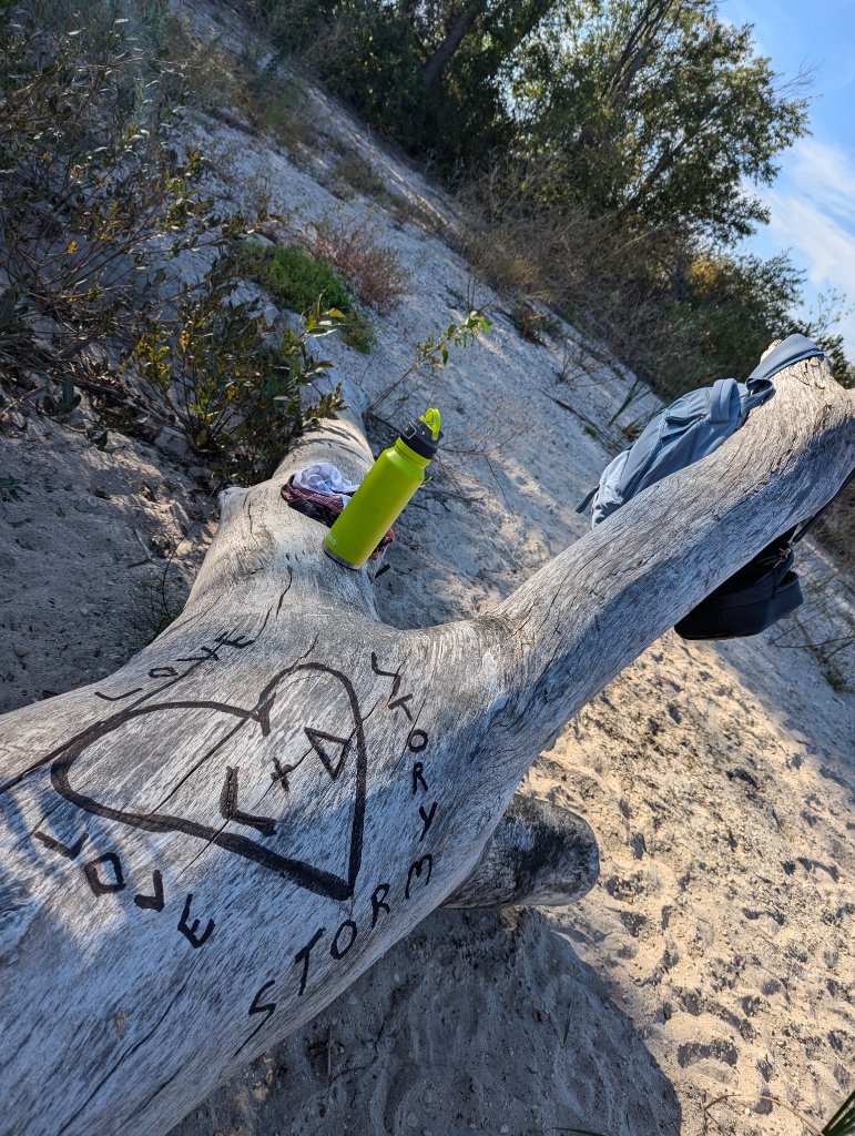 Carved driftwood log at Patricia Beach Provincial Park, Manitoba