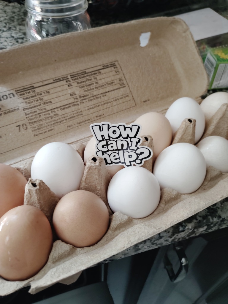 Even eggs are asking 'How Can I Help?' 🥚😄