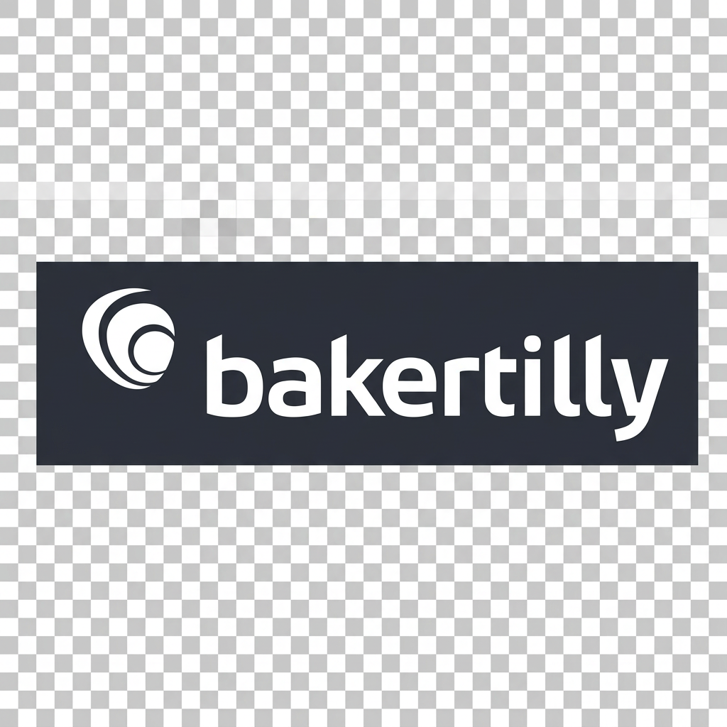 Baker Tilly (Dealer Services Consulting)