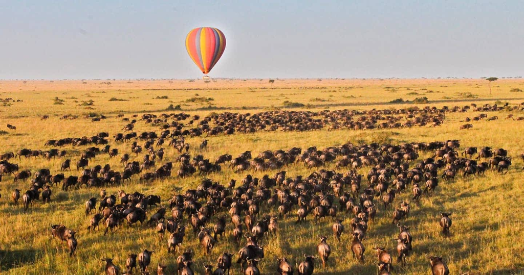 Serengeti Migration