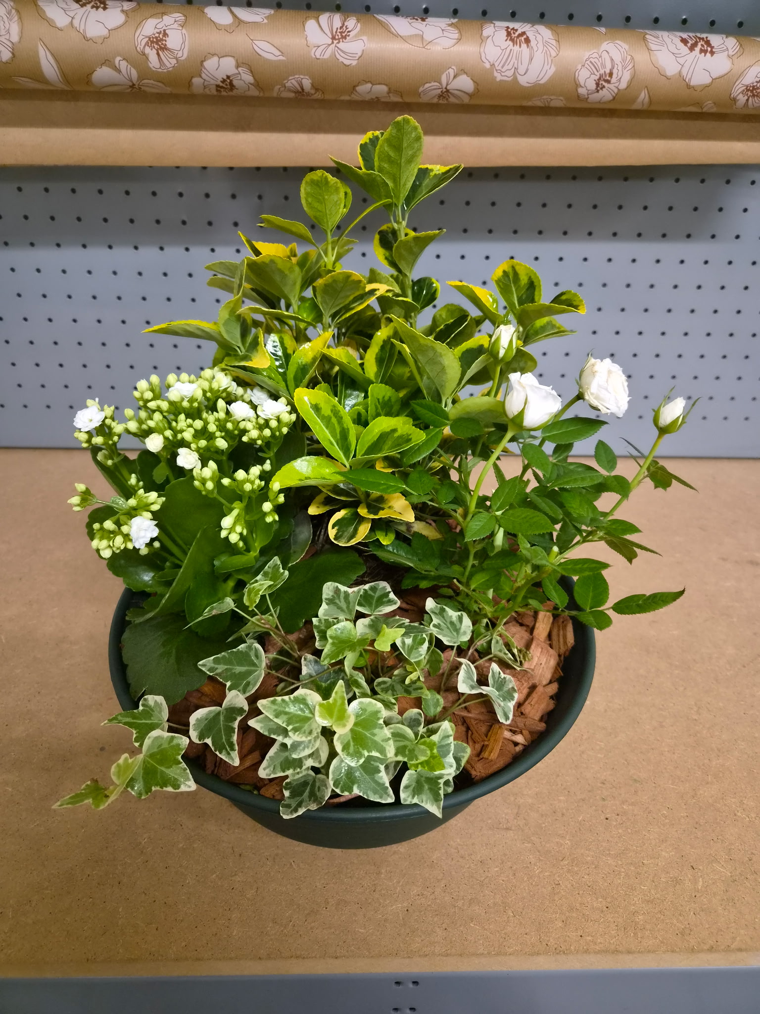 Coupe de plantes variées