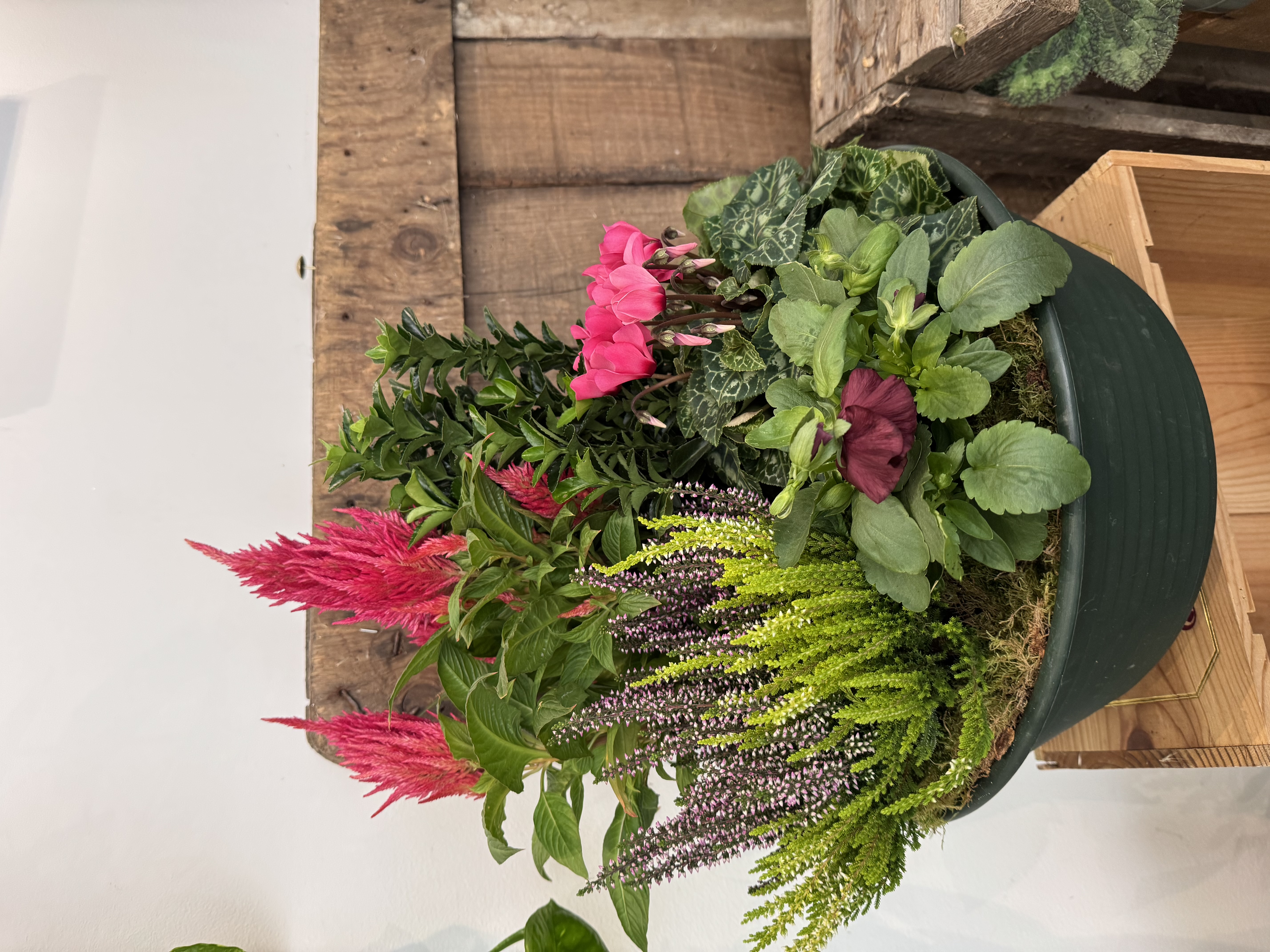 Panier de plante verte et fleuries