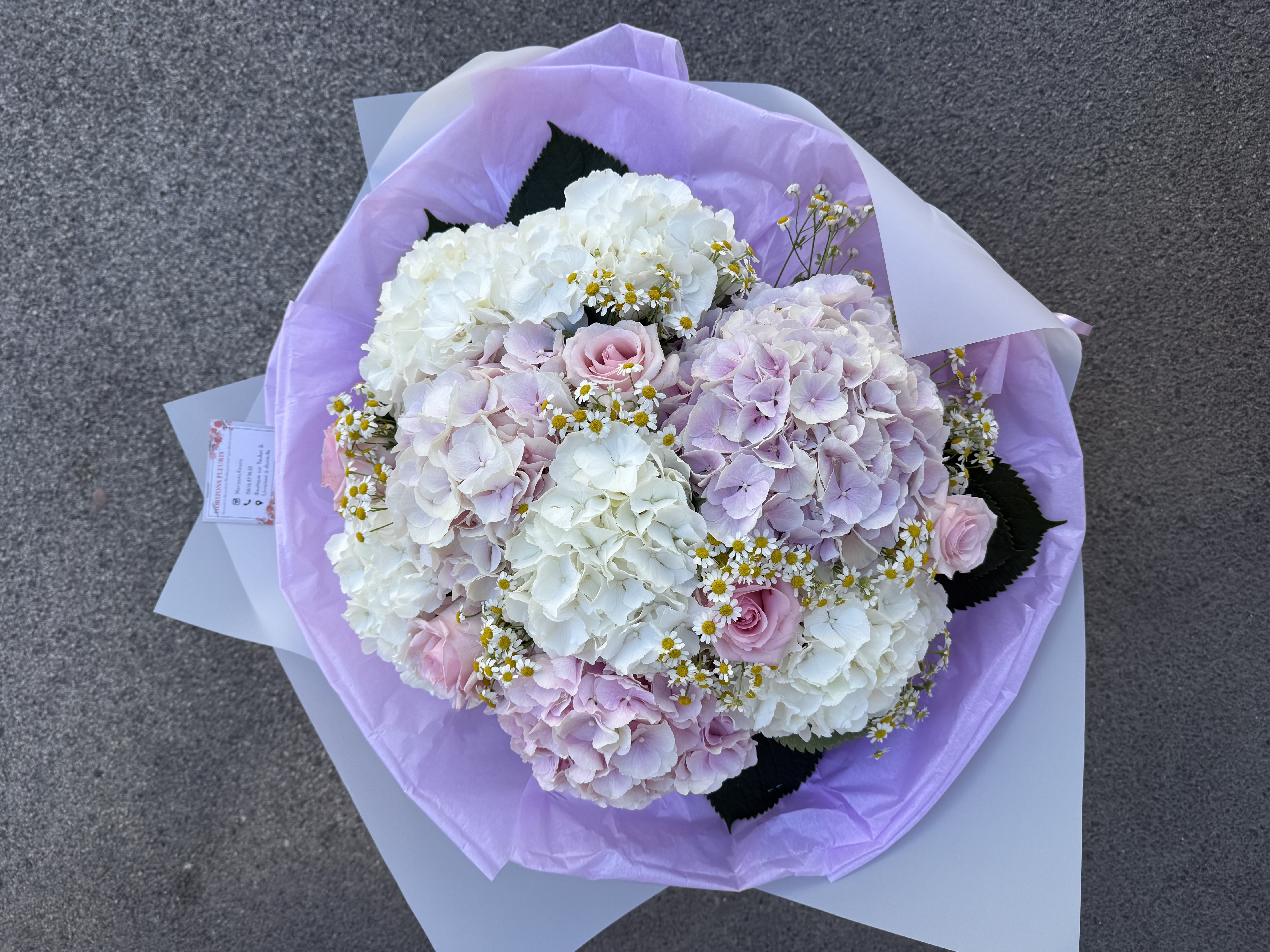 Nuage d’Hortensias