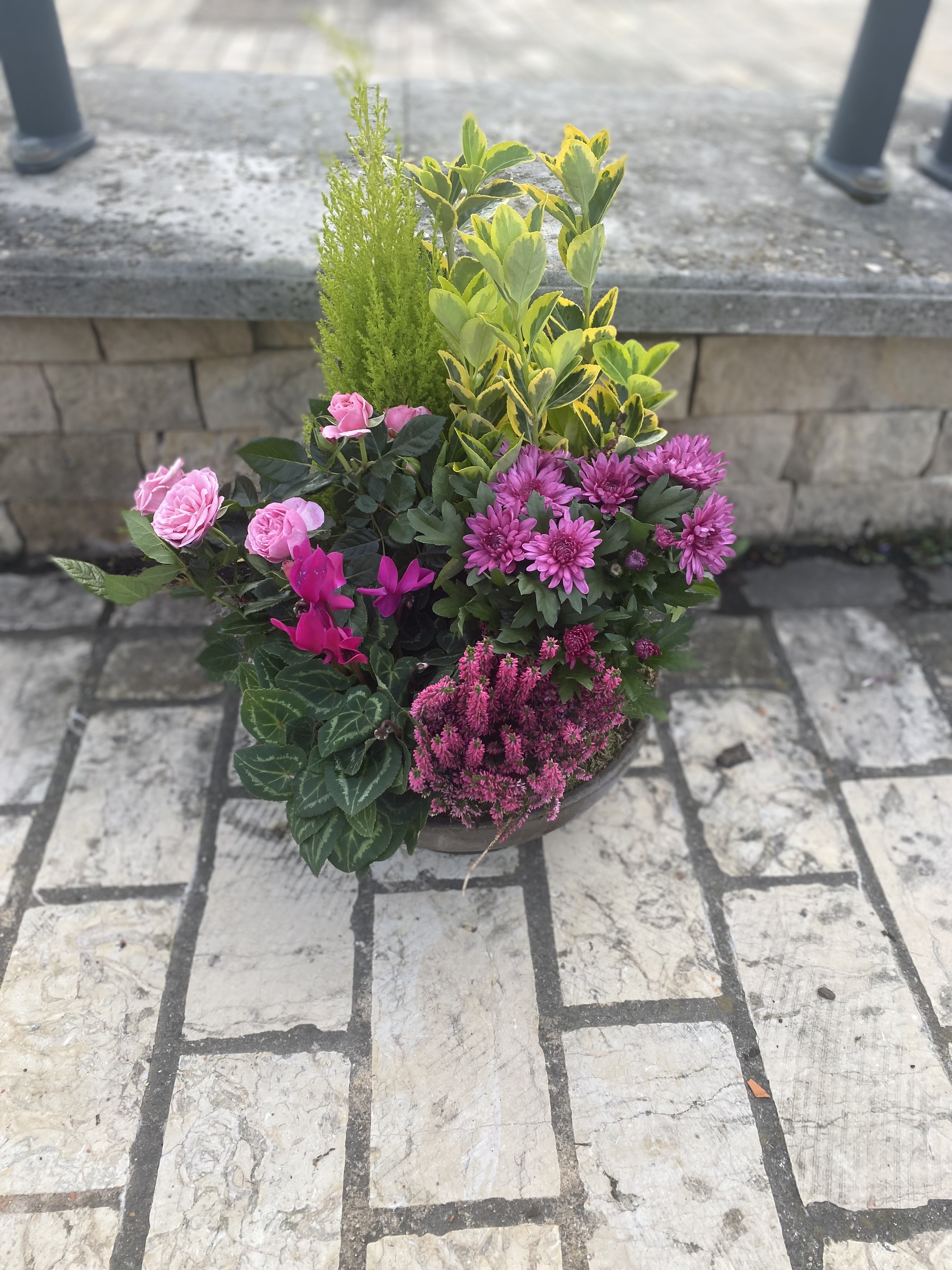 Coupe de plantes