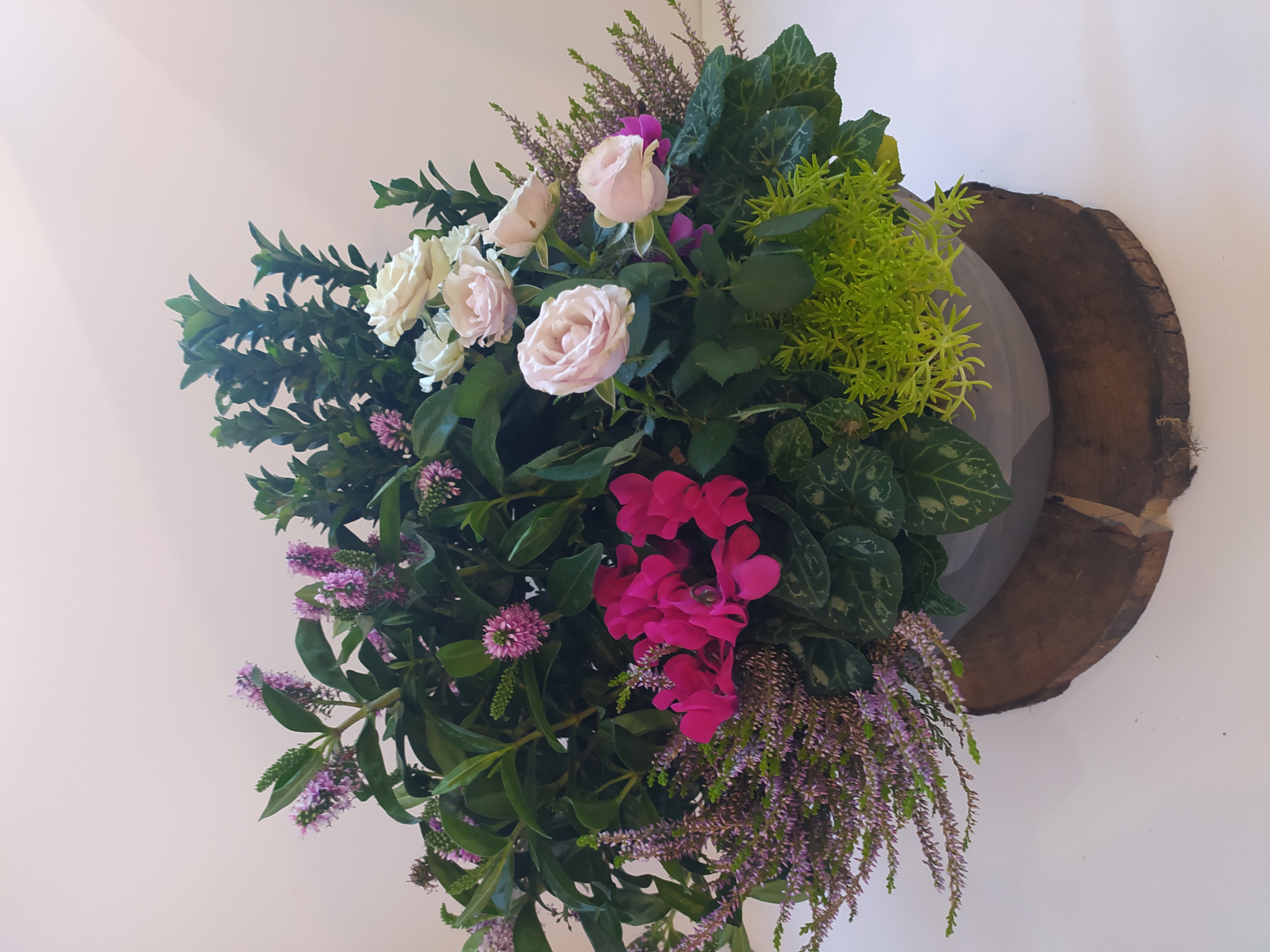 composition plantes ronde