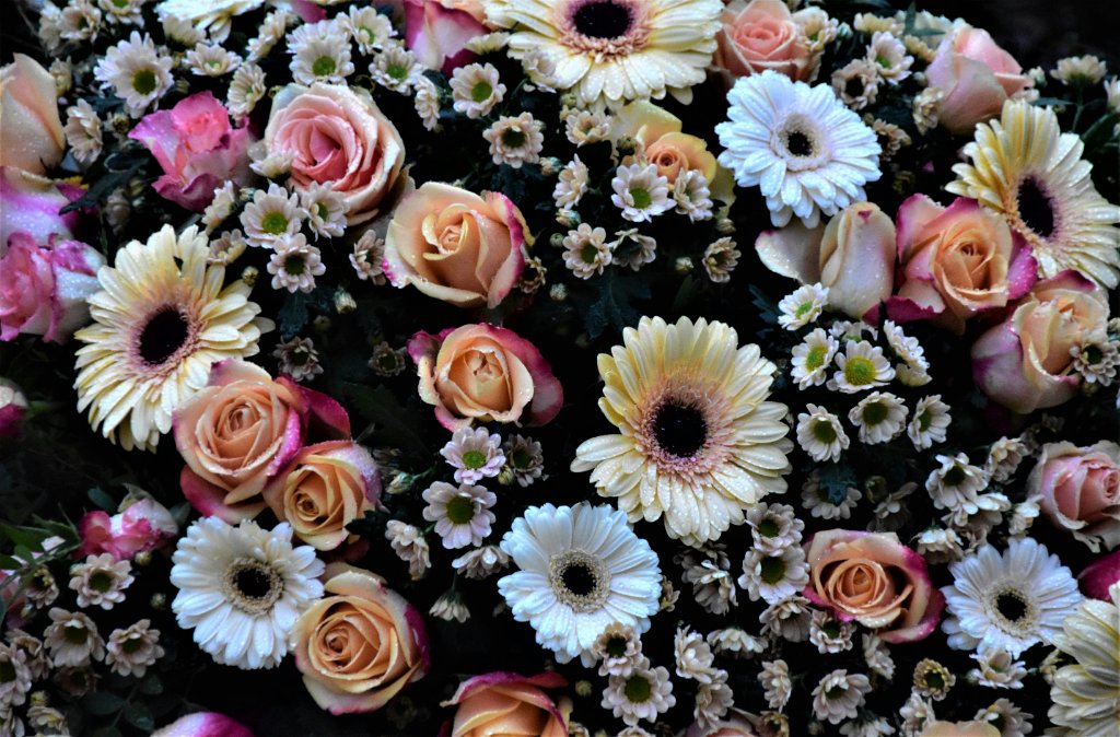 Couronne Intemporelle