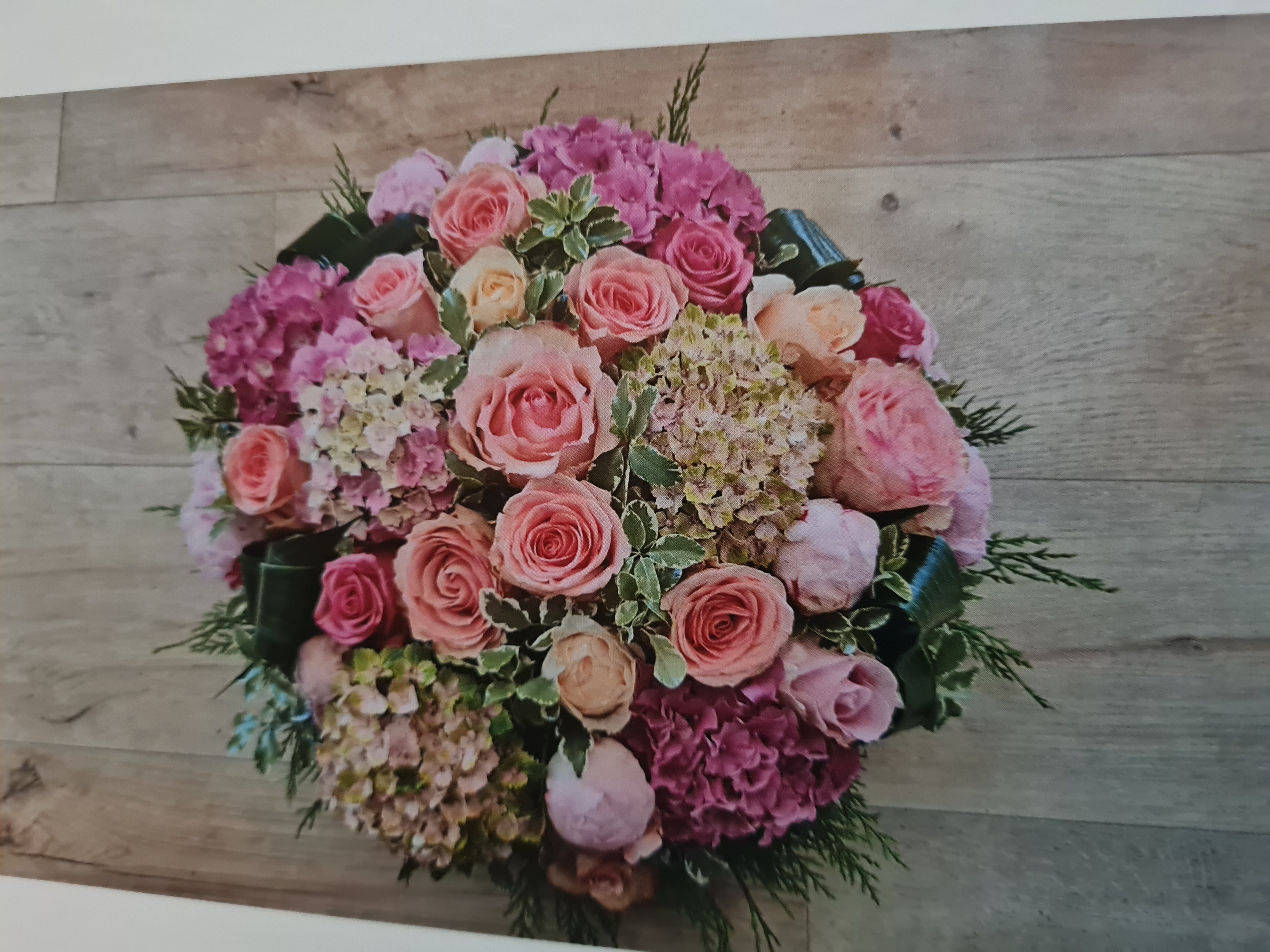 Hortensia 