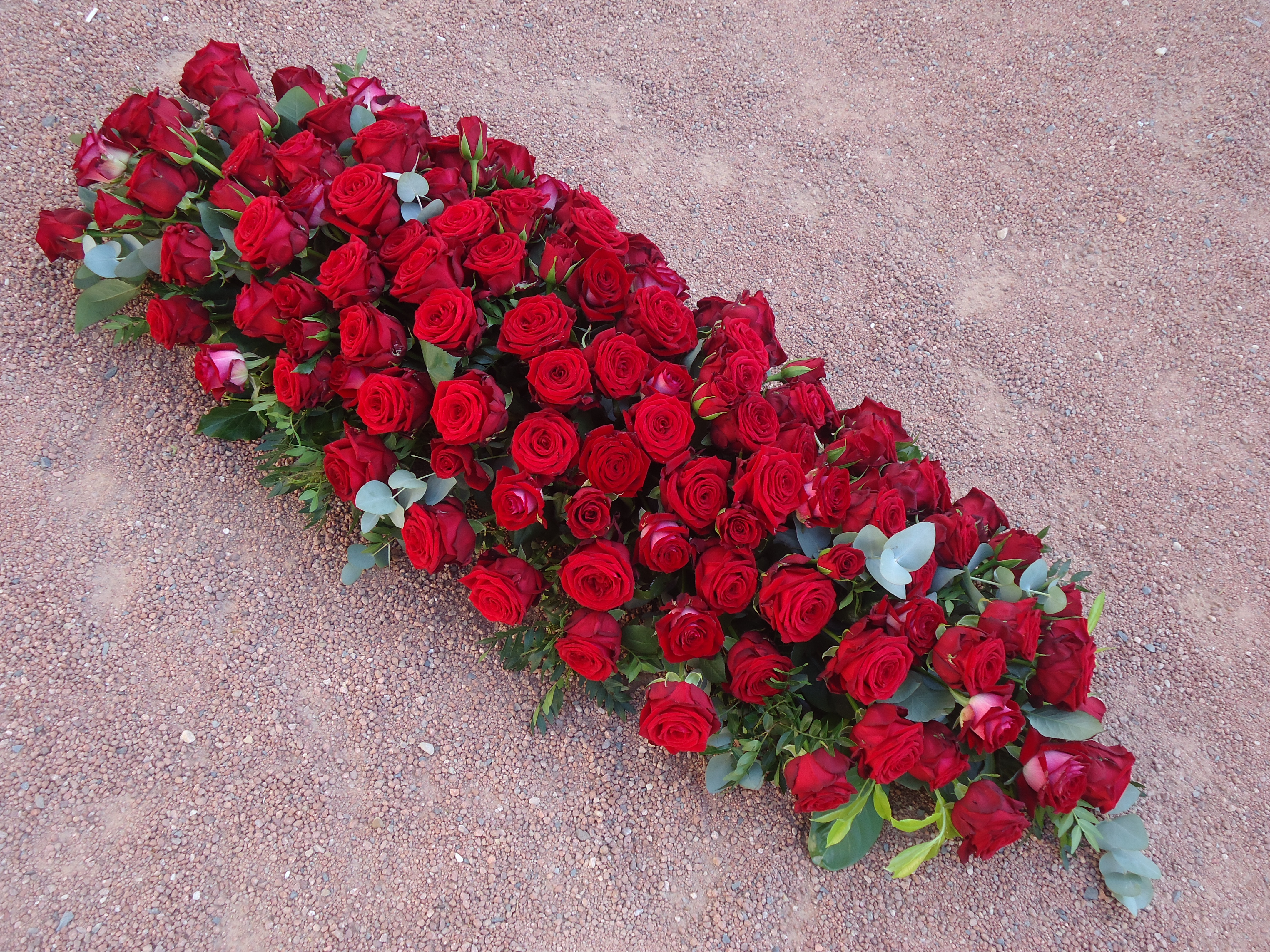 RAQUETTE DE ROSES