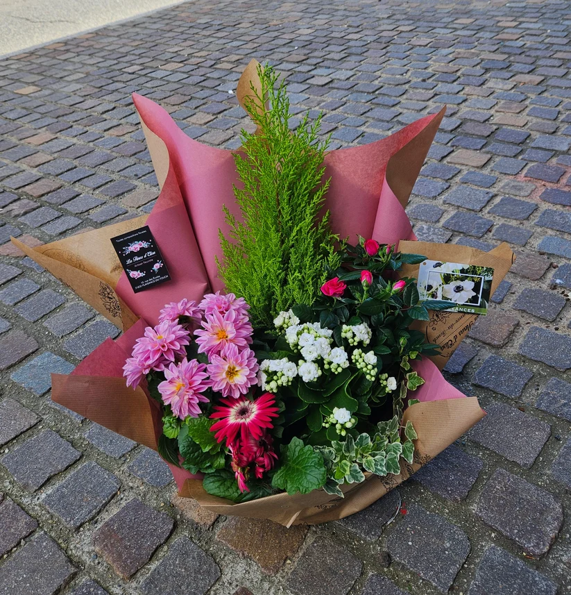 COUPES DE PLANTES ROSES