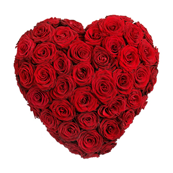 COEUR DE ROSES