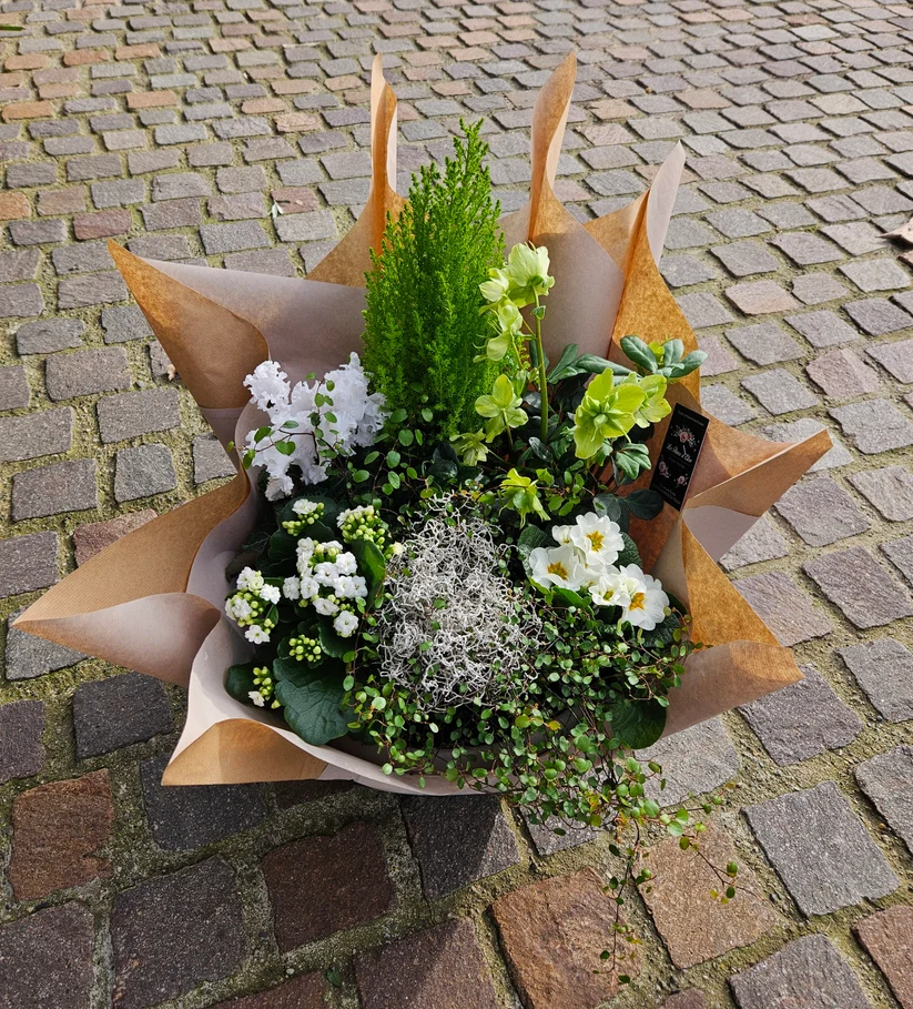 COMPOSITION DE PLANTES BLANCHES