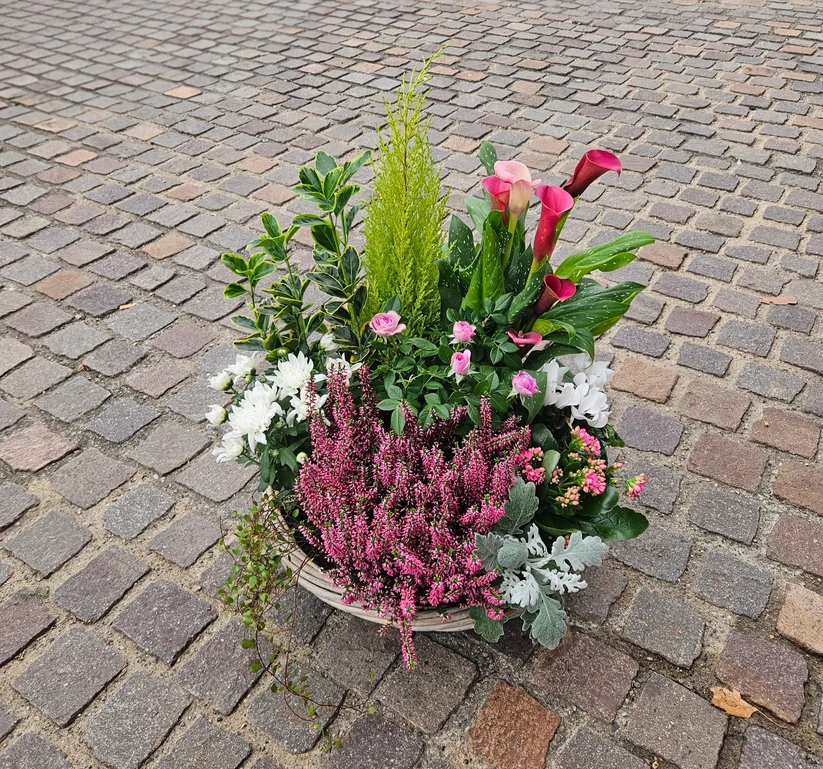 PANIER DE PLANTES COLORES OSTER