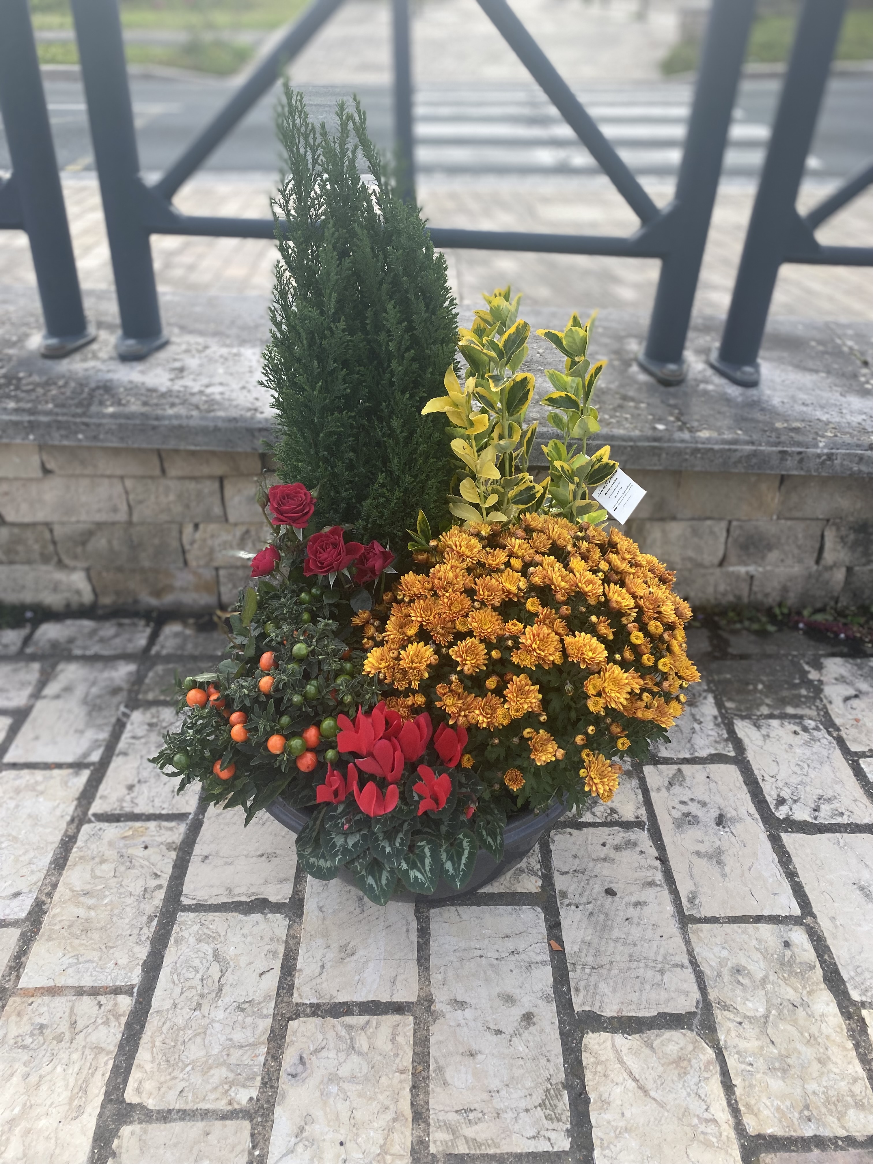 Coupe de plantes
