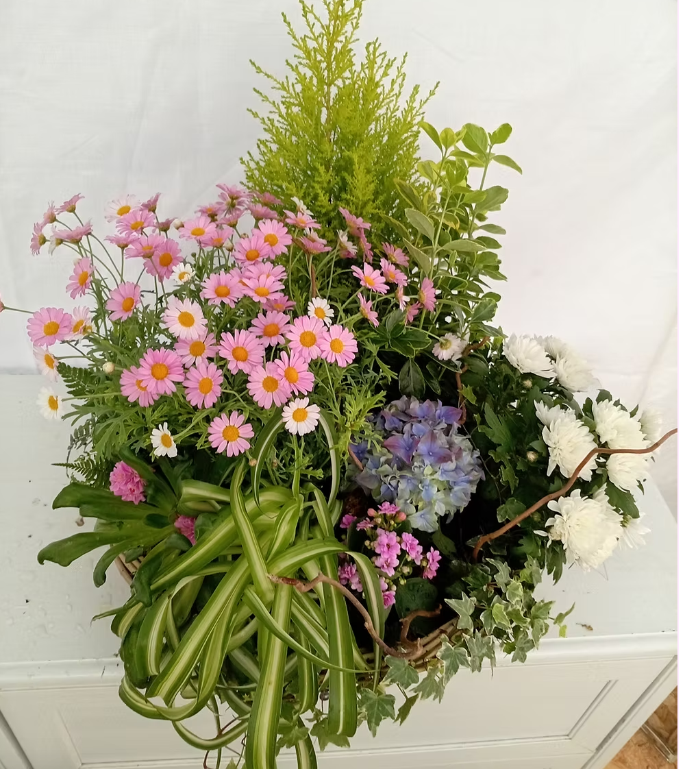 Compositions de plantes naturelles pour cimetière *Coloris au choix