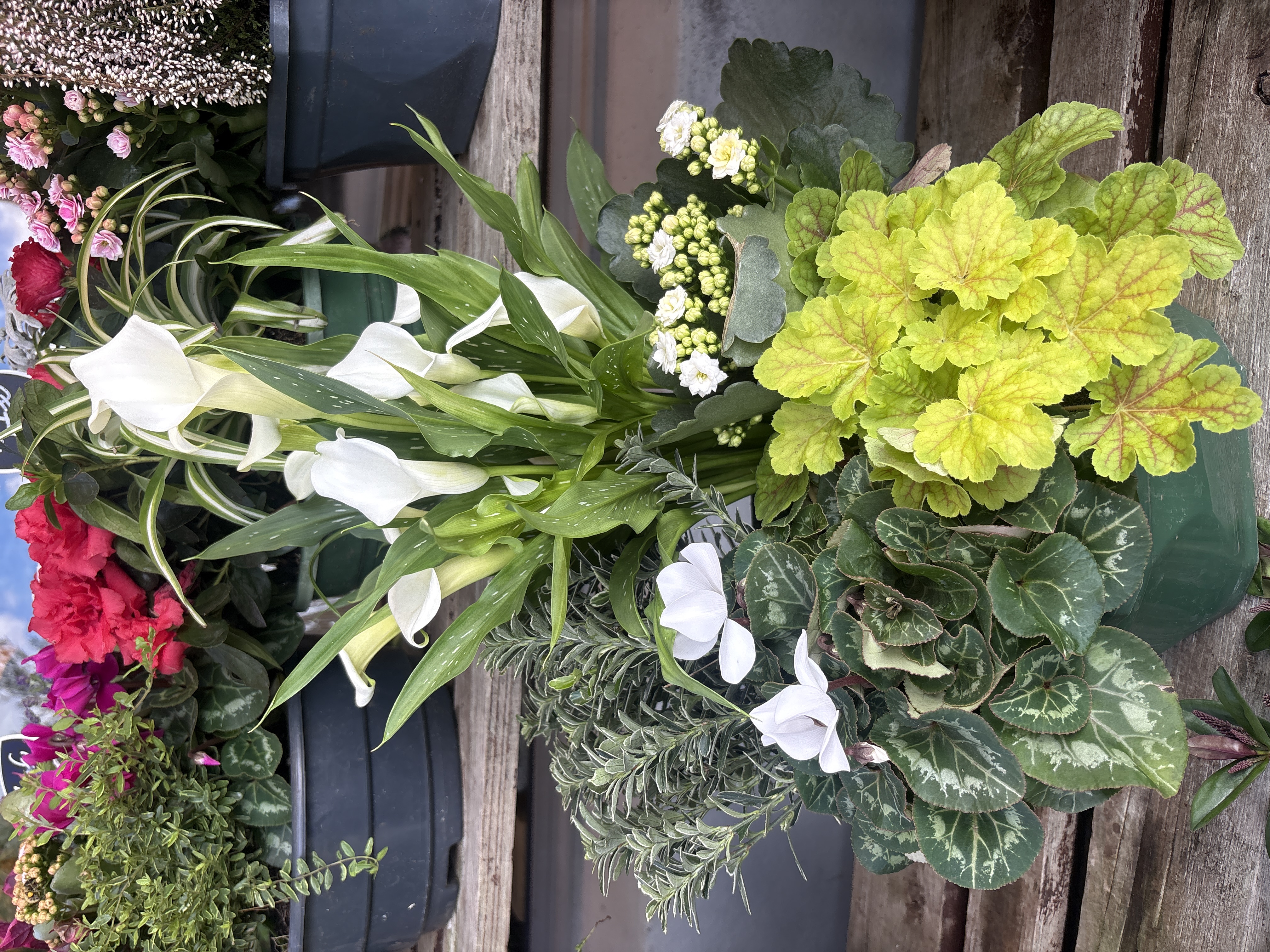 Jardin du souvenir