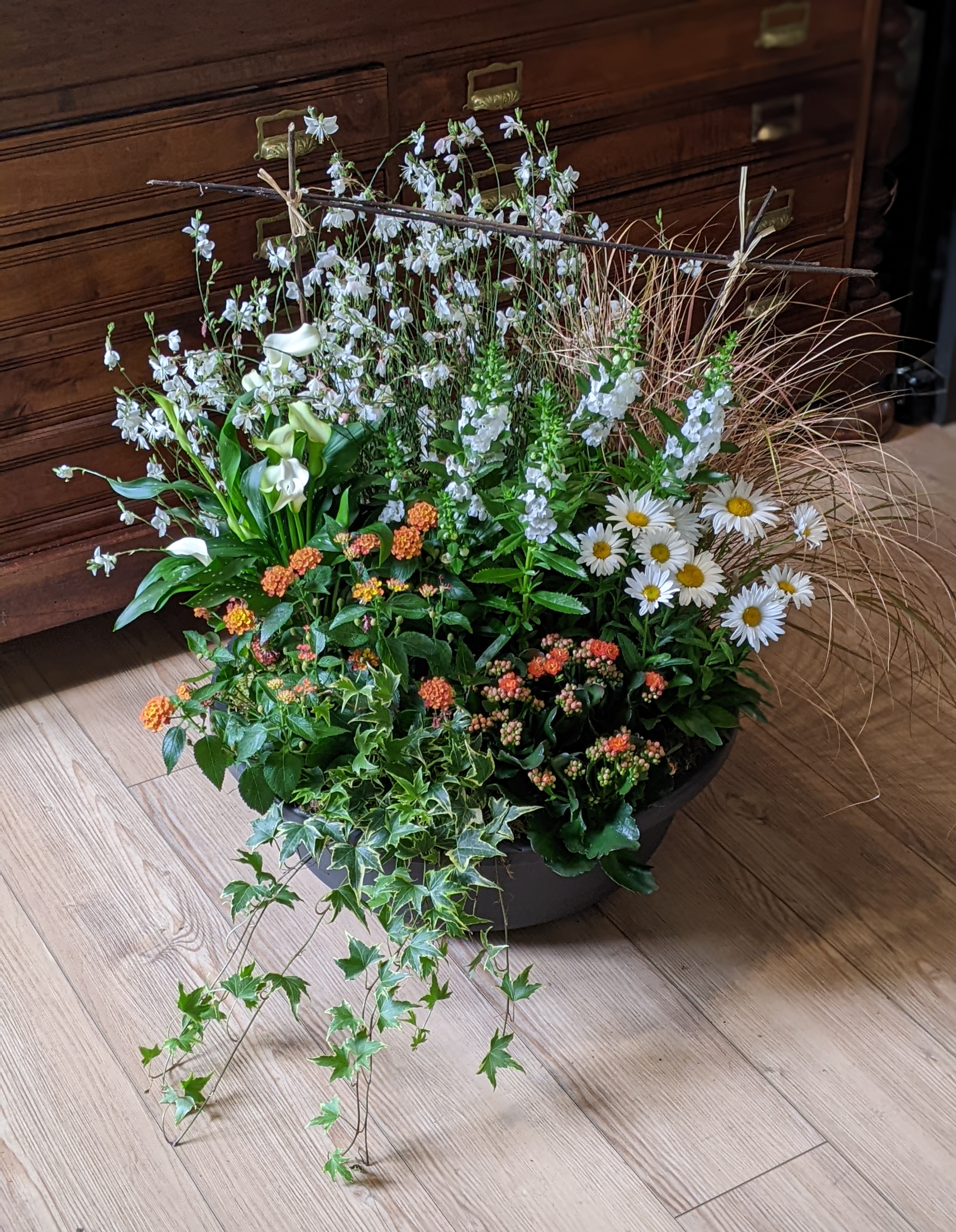 Coupe de plantes