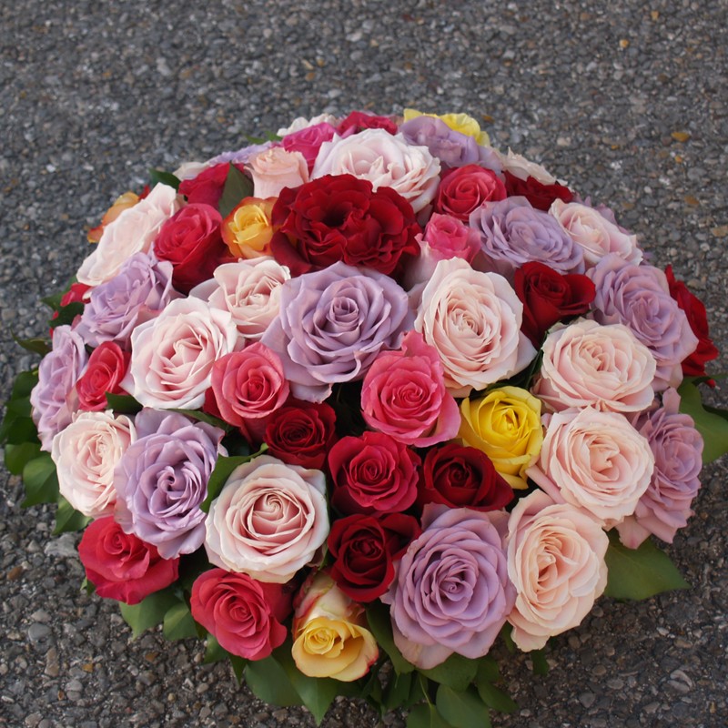 COUSSIN DE ROSES