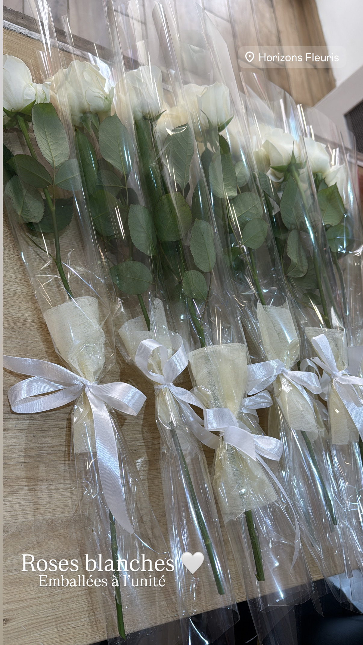 Roses à l’Unité