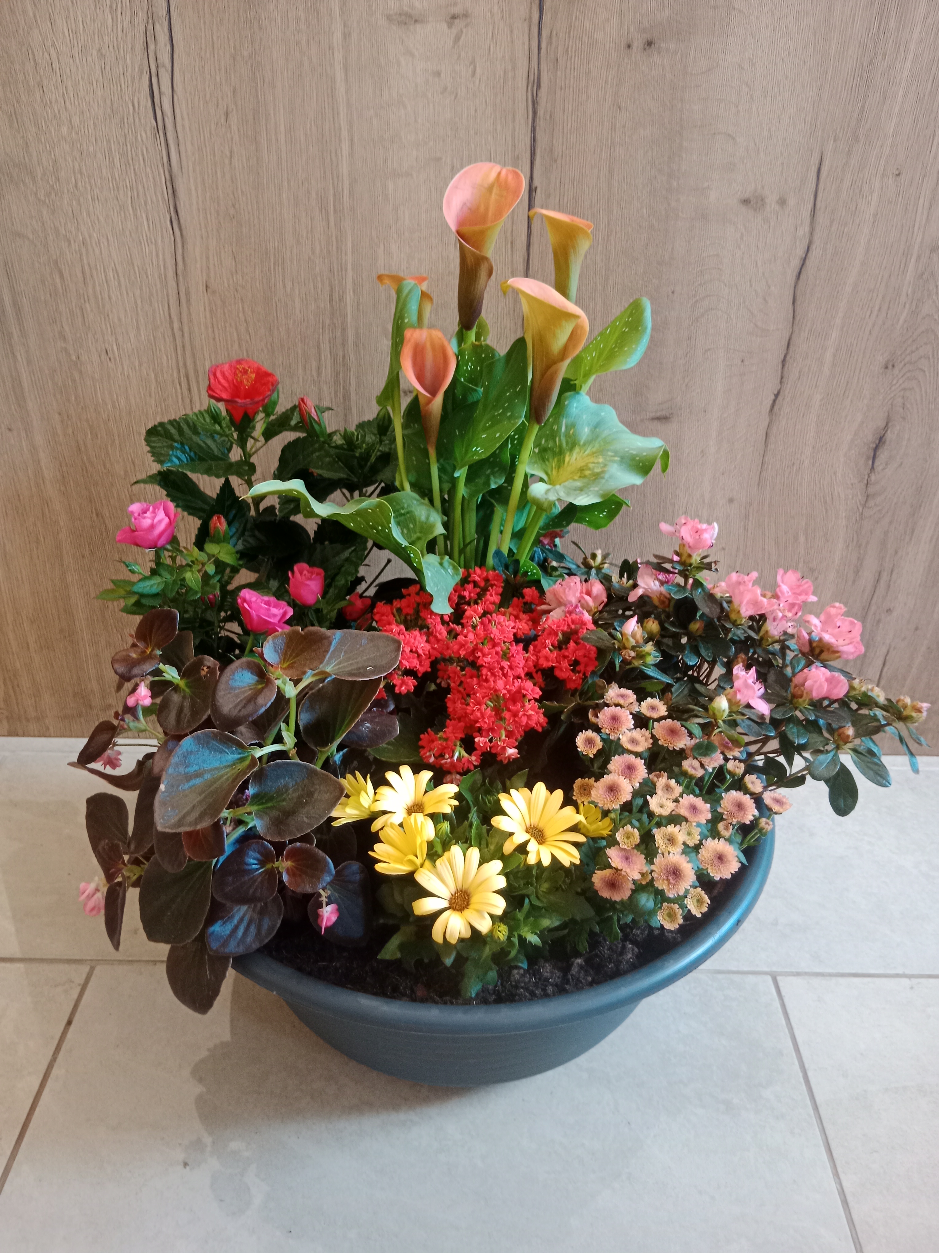 Coupe de plantes
