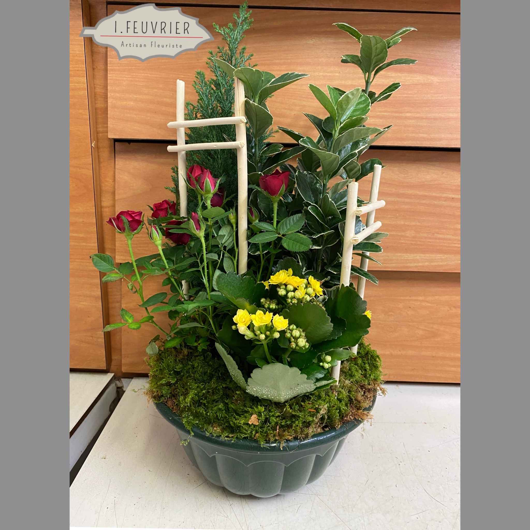 Coupe de plantes extérieures de saison