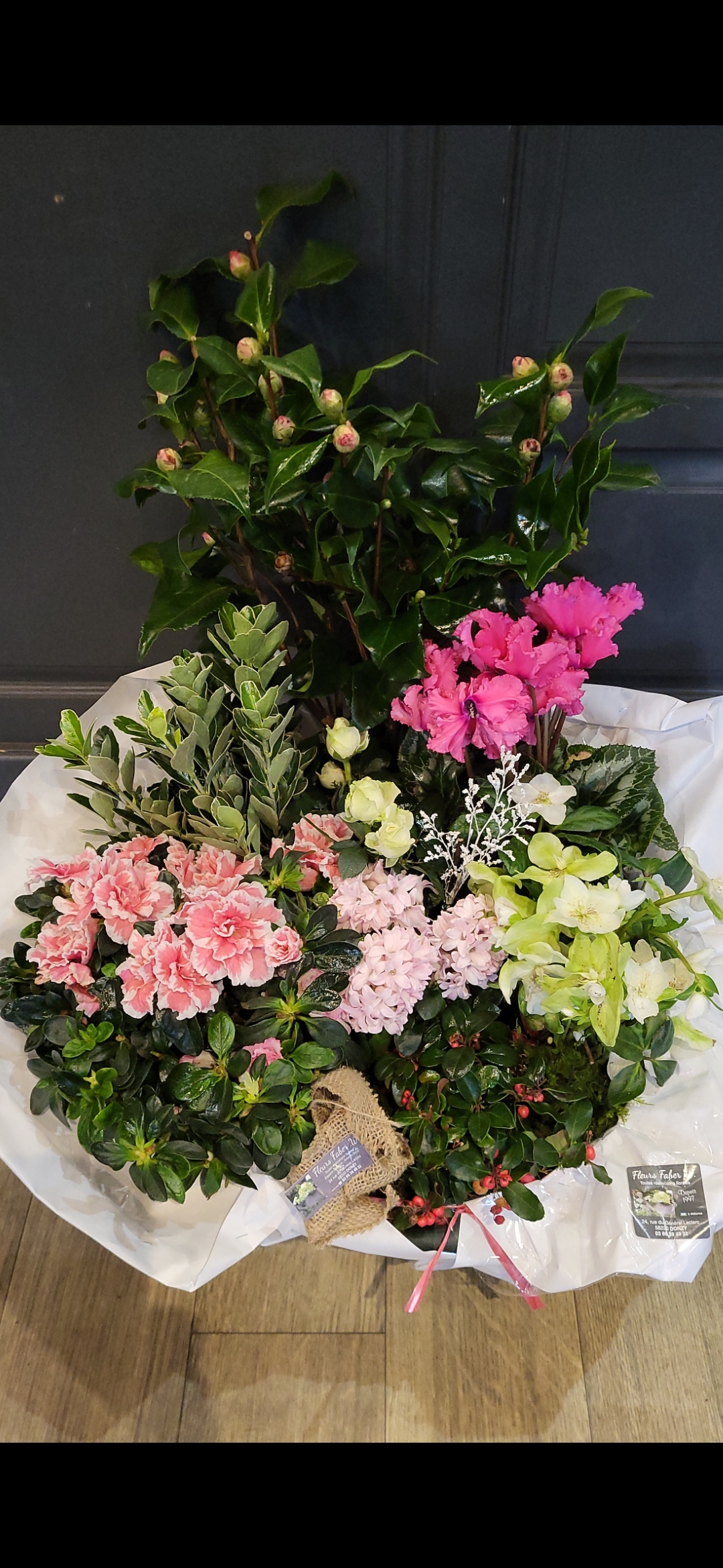 Composition plantes