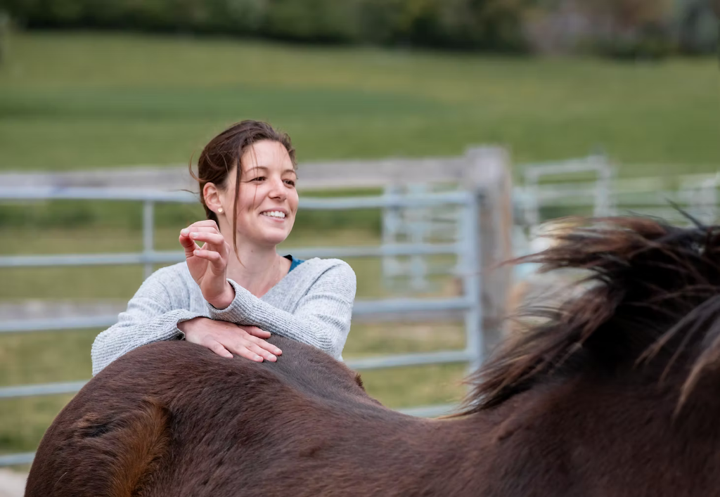 Pferdetherapie und Training