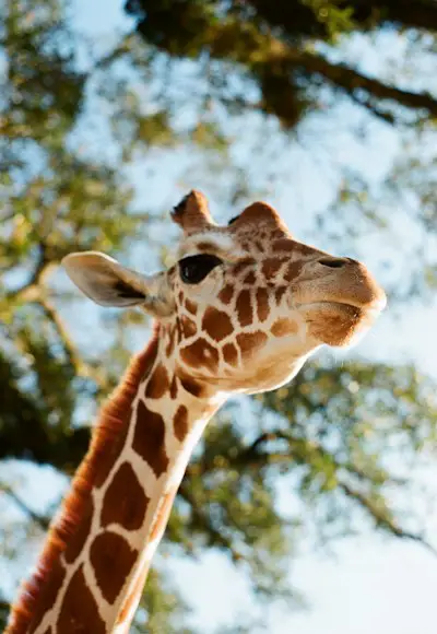 Natur & Tiere