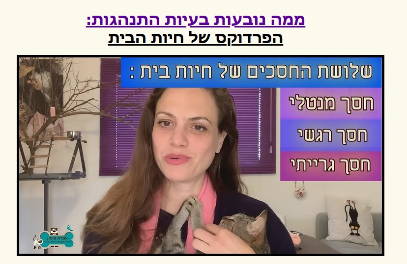 🩺 טיפול בבעיות התנהגות: חרדות, צרכים מחוץ לארגז, יללות