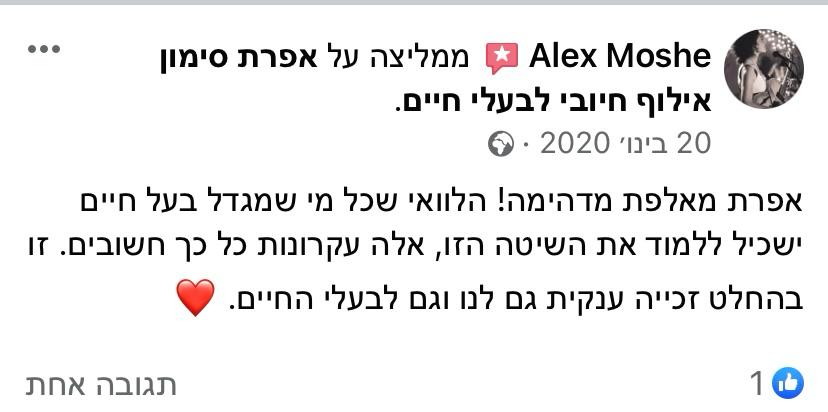 המלצת לקוח - חיבור בין חתולים