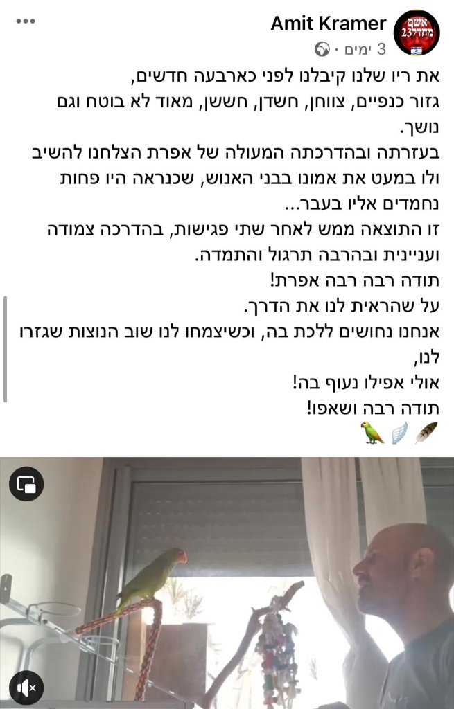 המלצה 3
