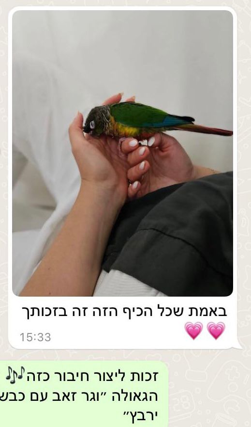 המלצה 4