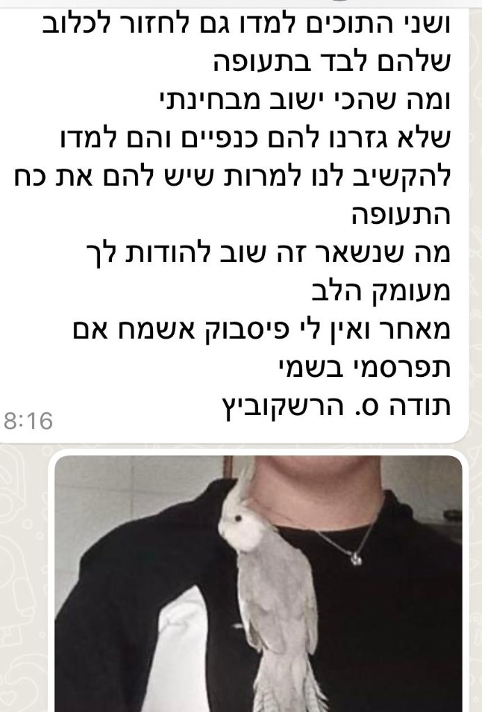 המלצת לקוח