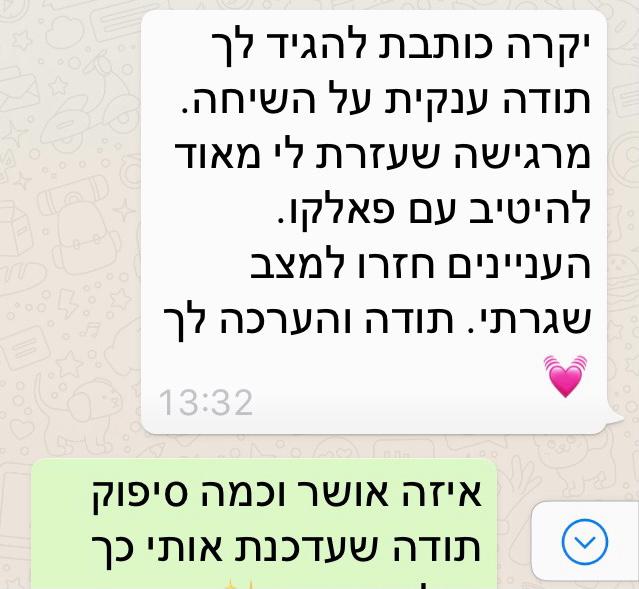 המלצת לקוח - חיבור בין חתולים