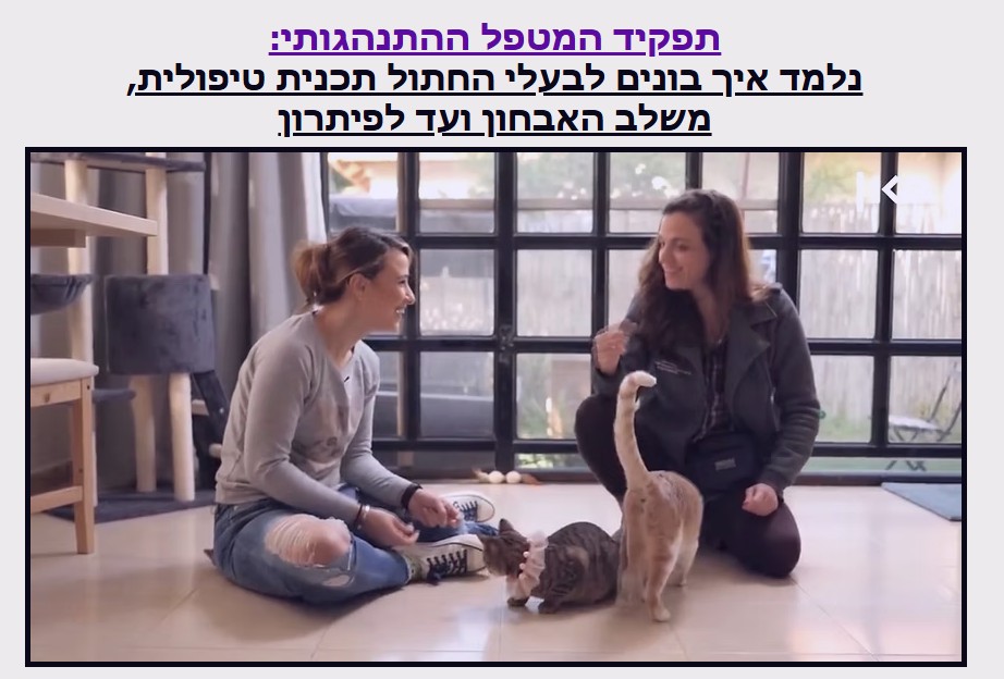 👩⚕️ תפקיד המטפל ההתנהגותי