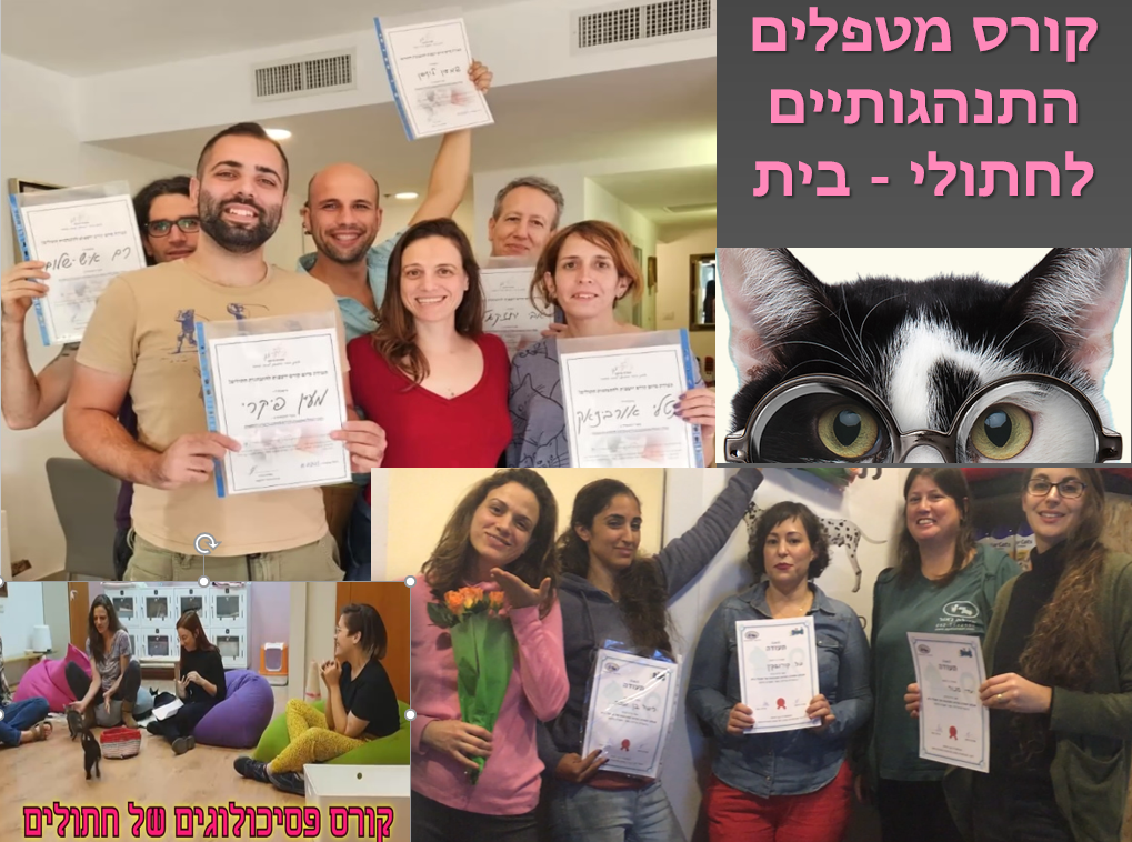 קורס מטפלים התנהגותיים בחתולים