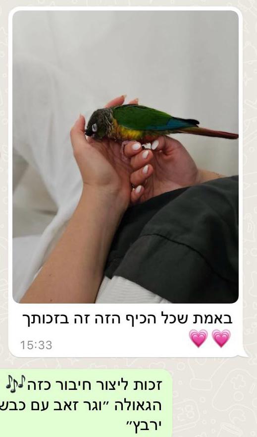 המלצת לקוח