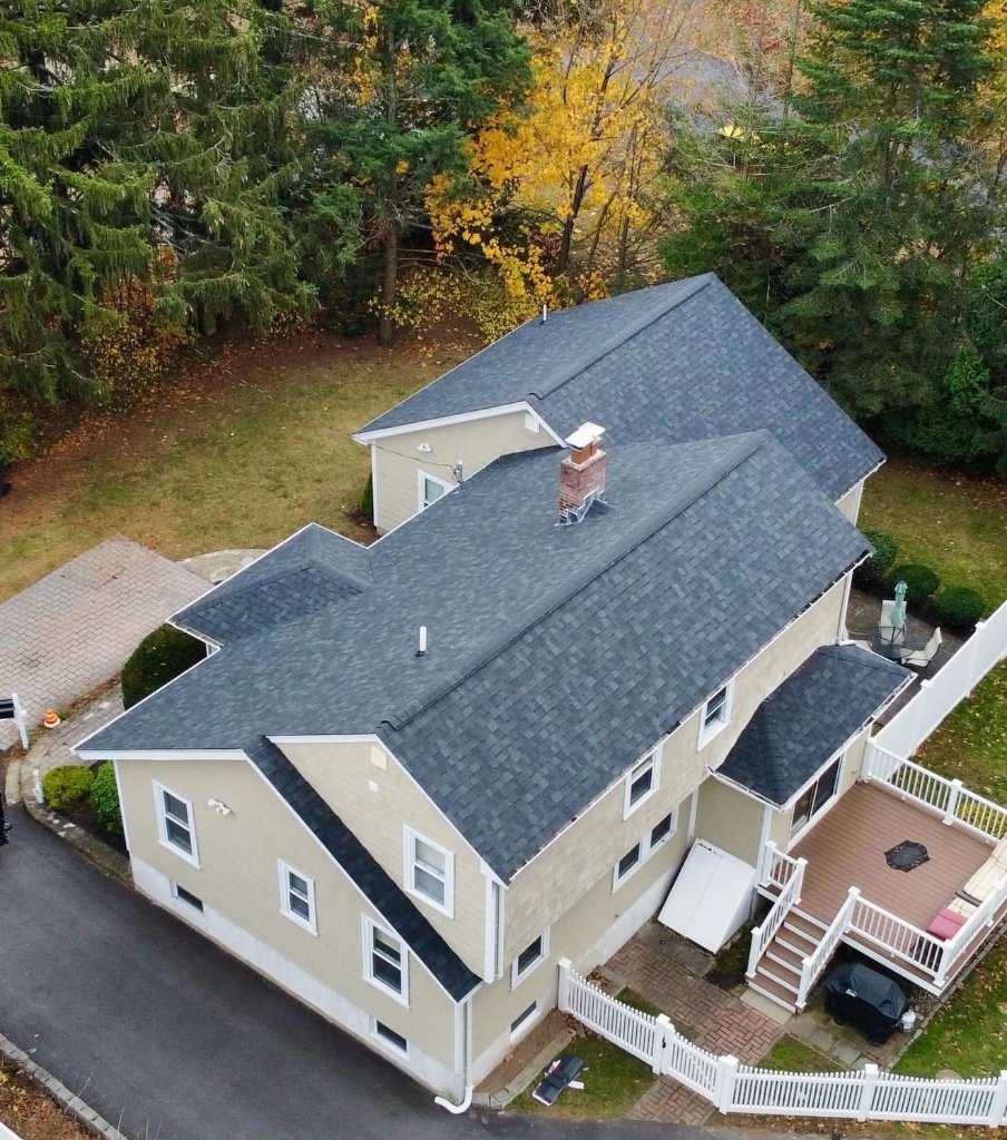 Professional roofing