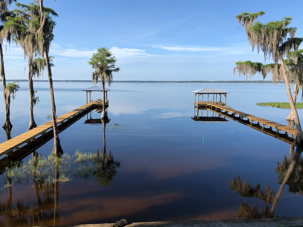 Calm waters and cypress trees from the shoreline