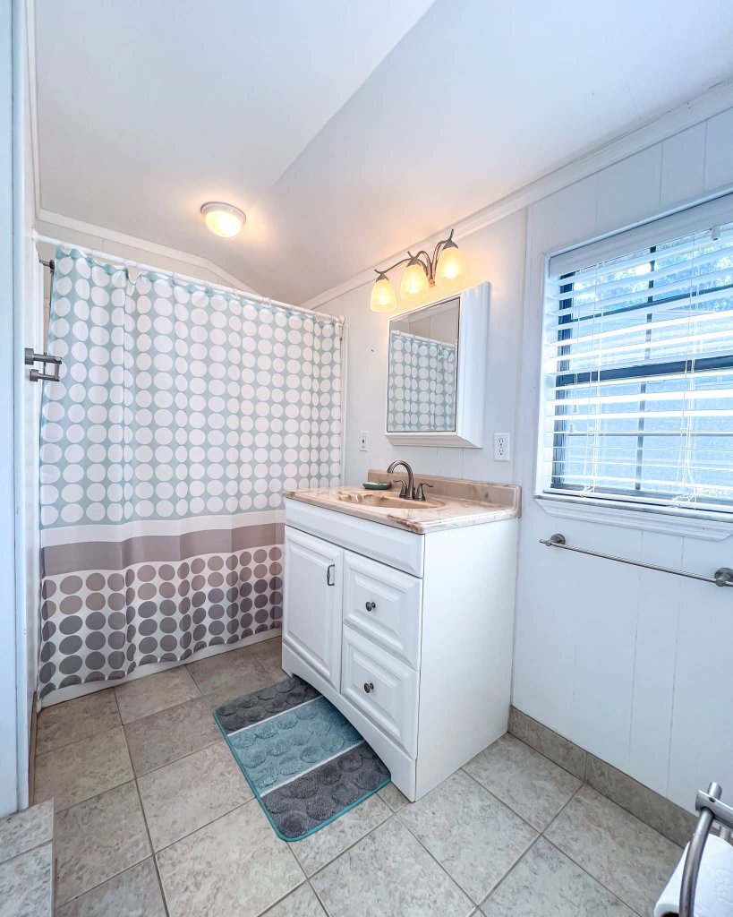Vanity with shower stall and natural light