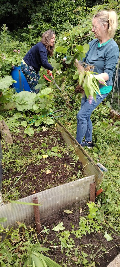 Ramsbottom Project 3